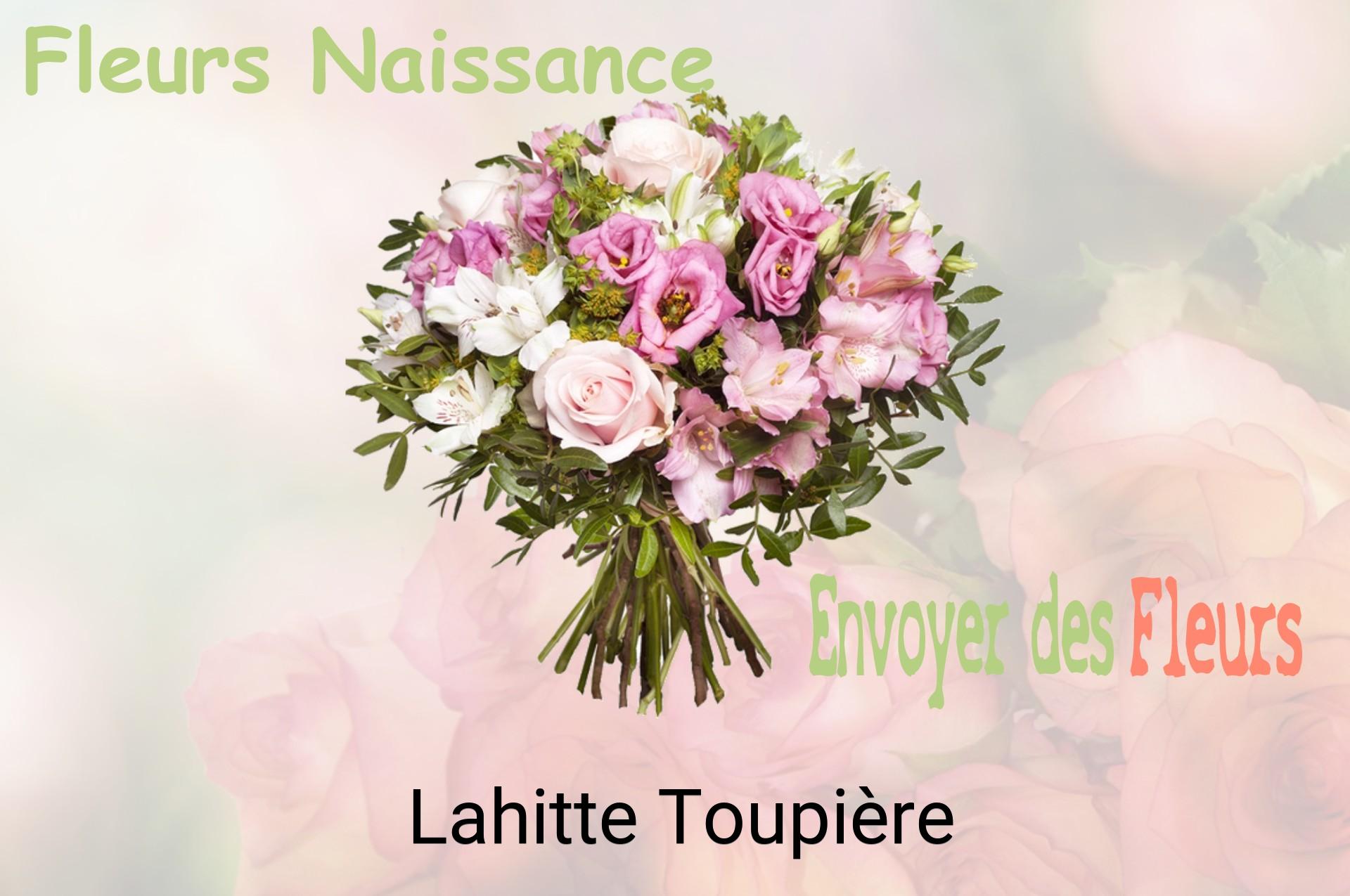 Bouquet de fleurs de naissance livré à Lahitte-Toupière